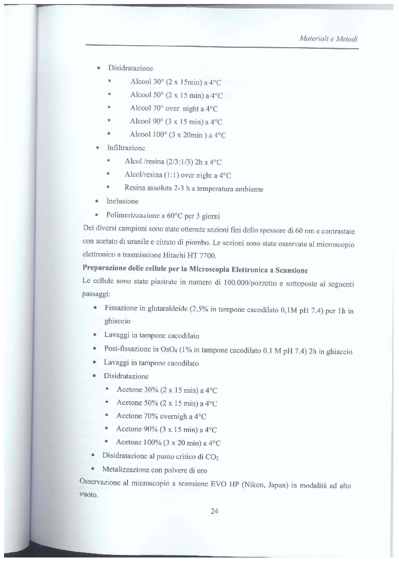 Anteprima della tesi: Studio di vescicole extracellulari rilasciate da cellule di glioblastoma per scopo diagnostico, Pagina 5