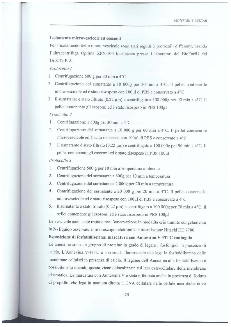 Anteprima della tesi: Studio di vescicole extracellulari rilasciate da cellule di glioblastoma per scopo diagnostico, Pagina 6