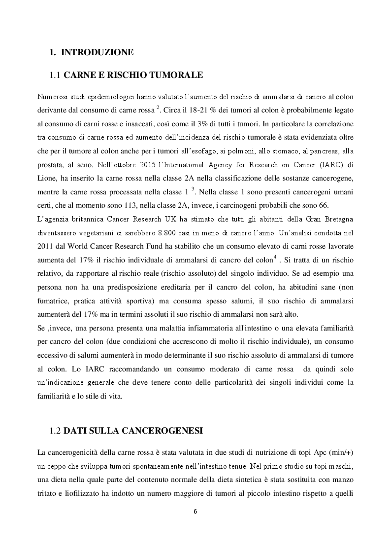 Anteprima della tesi: Valutazione dell'attività biologica di digeriti di carne rossa processata su linee cellulari intestinali umane, Pagina 3
