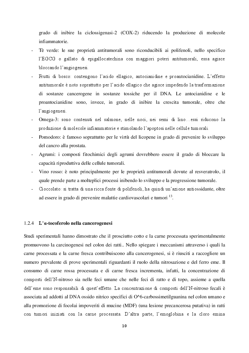 Anteprima della tesi: Valutazione dell'attività biologica di digeriti di carne rossa processata su linee cellulari intestinali umane, Pagina 7