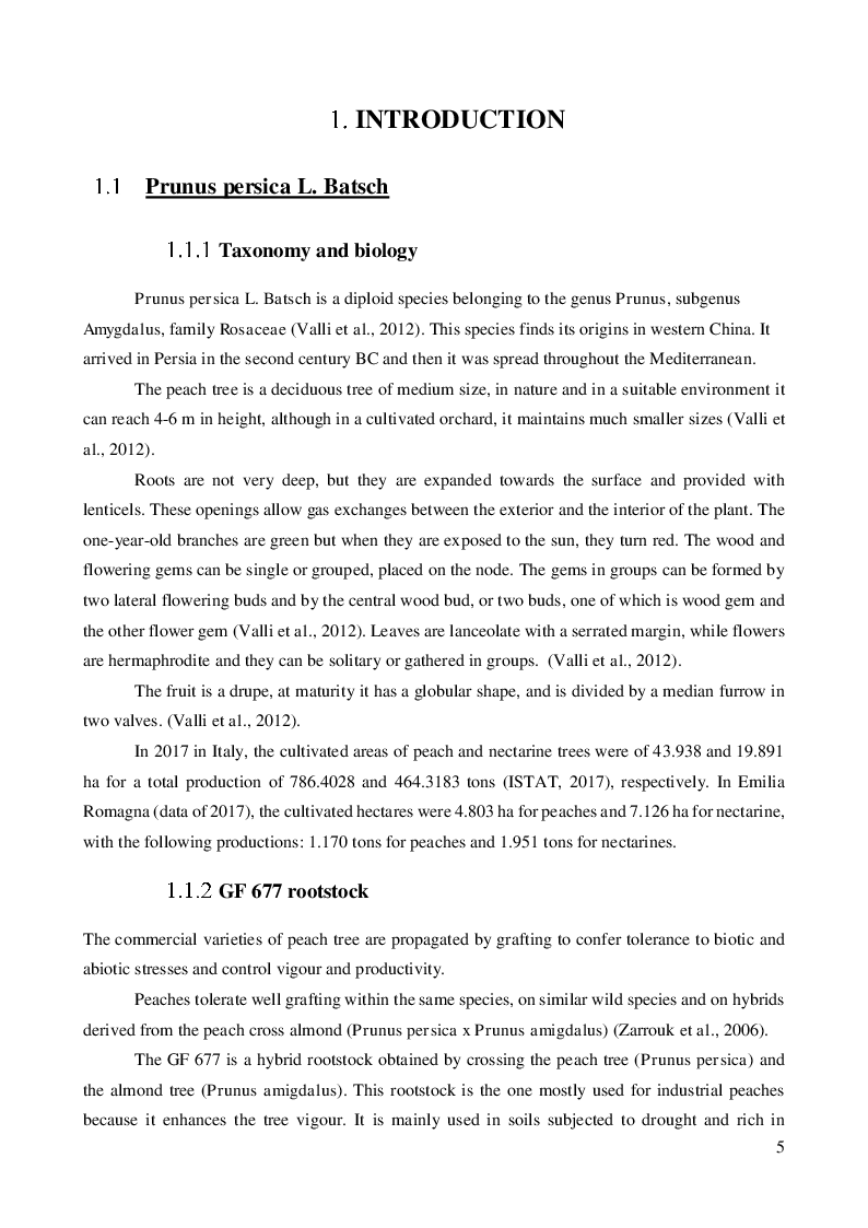 Anteprima della tesi: Wastewater as an alternative source for irrigating horticultural crops: investigating Escherichia coli root internalization on GF 677 (Prunus persica x Prunus amigdalus)., Pagina 3