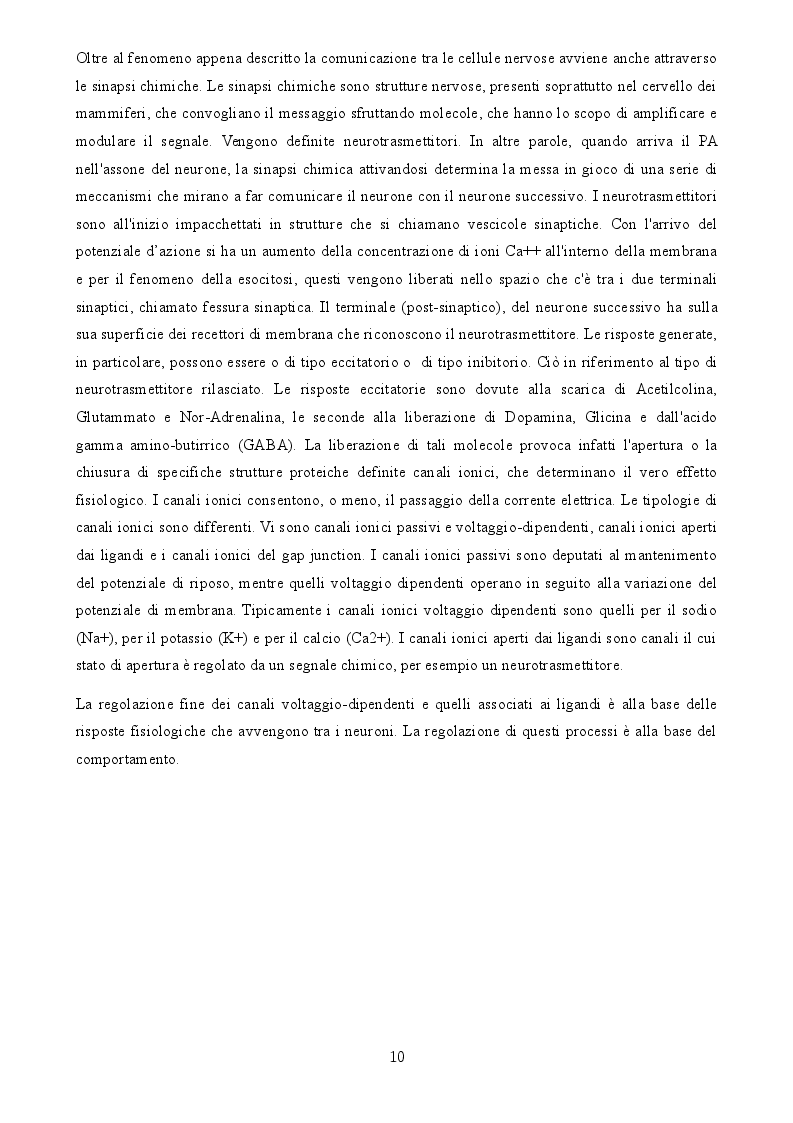 Estratto dalla tesi: Uno studio degli effetti della tDCS sui processi di apprendimento visuo-spaziale