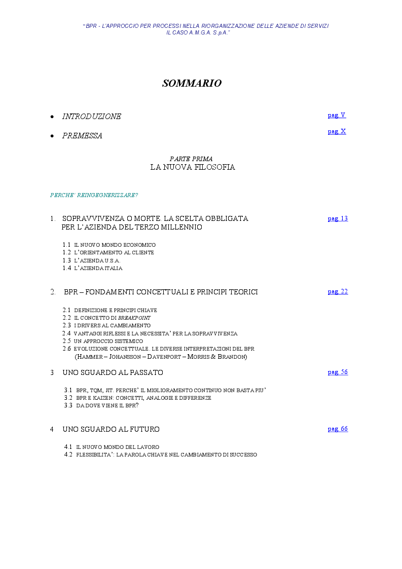 Indice della tesi: BPR - L'approccio per processi nella riorganizzazione delle aziende di servizi - Il caso AMGA S.p.A., Pagina 1