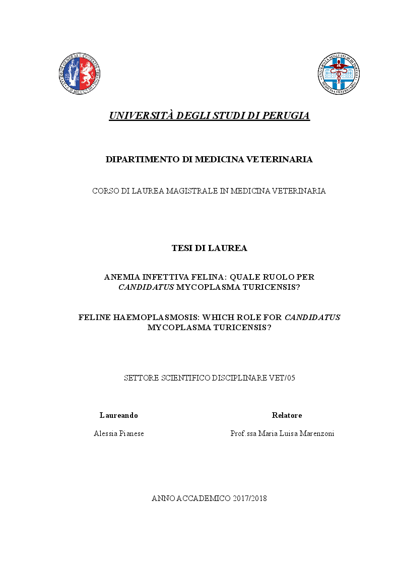 Anteprima della tesi: Anemia infettiva felina: quale ruolo per Candidatus Mycoplasma turicensis?, Pagina 1