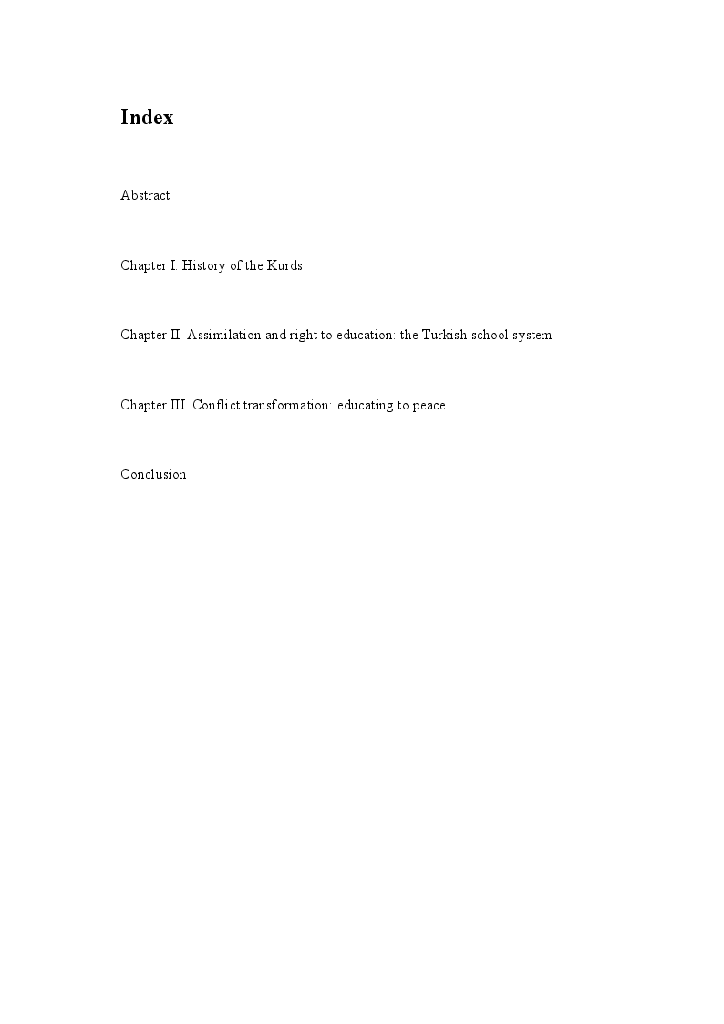 Indice della tesi: Education, Interethnic Hatred, Identity: the Kurdish Question in South-Eastern Turkey, Pagina 1