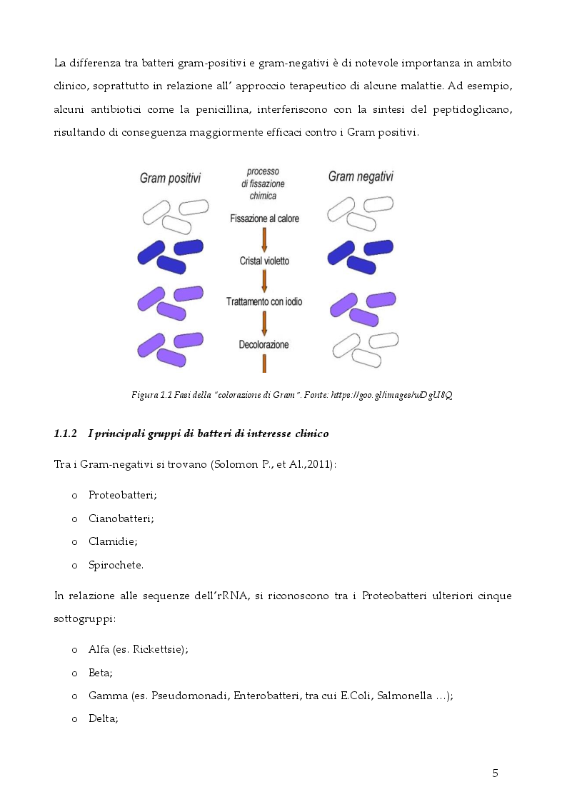 Anteprima della tesi: Strategie per contrastare l'antibiotico resistenza: ruolo dell'infermiere, Pagina 4