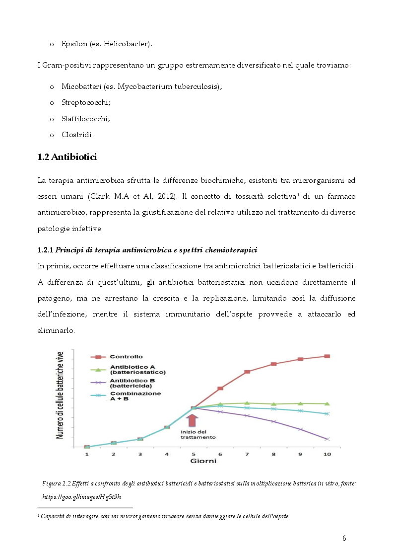 Anteprima della tesi: Strategie per contrastare l'antibiotico resistenza: ruolo dell'infermiere, Pagina 5