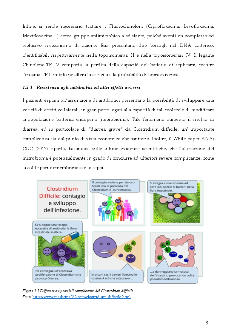 Anteprima della tesi: Strategie per contrastare l'antibiotico resistenza: ruolo dell'infermiere, Pagina 8