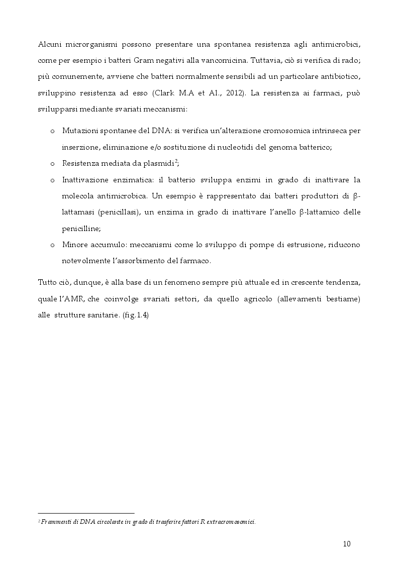 Anteprima della tesi: Strategie per contrastare l'antibiotico resistenza: ruolo dell'infermiere, Pagina 9