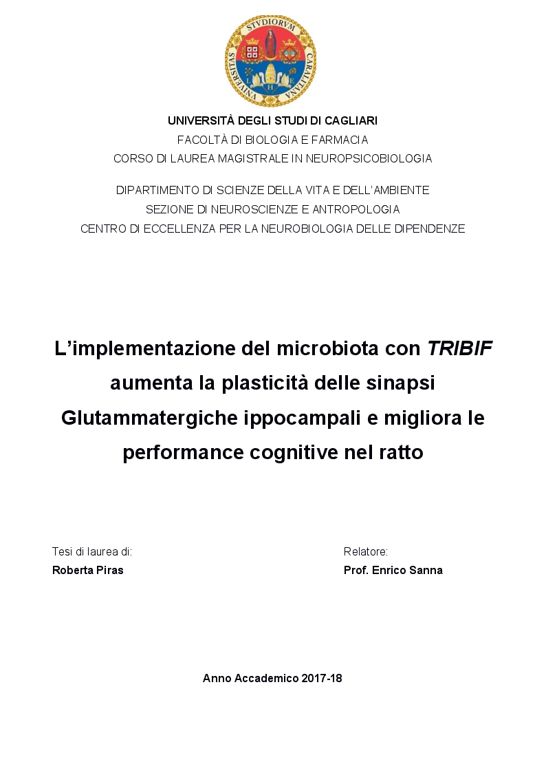 Anteprima della tesi: L'implementazione del microbiota con TRIBIF® aumenta la plasticità delle sinapsi glutammatergiche ippocampali e migliora le performance cognitive nel ratto, Pagina 1