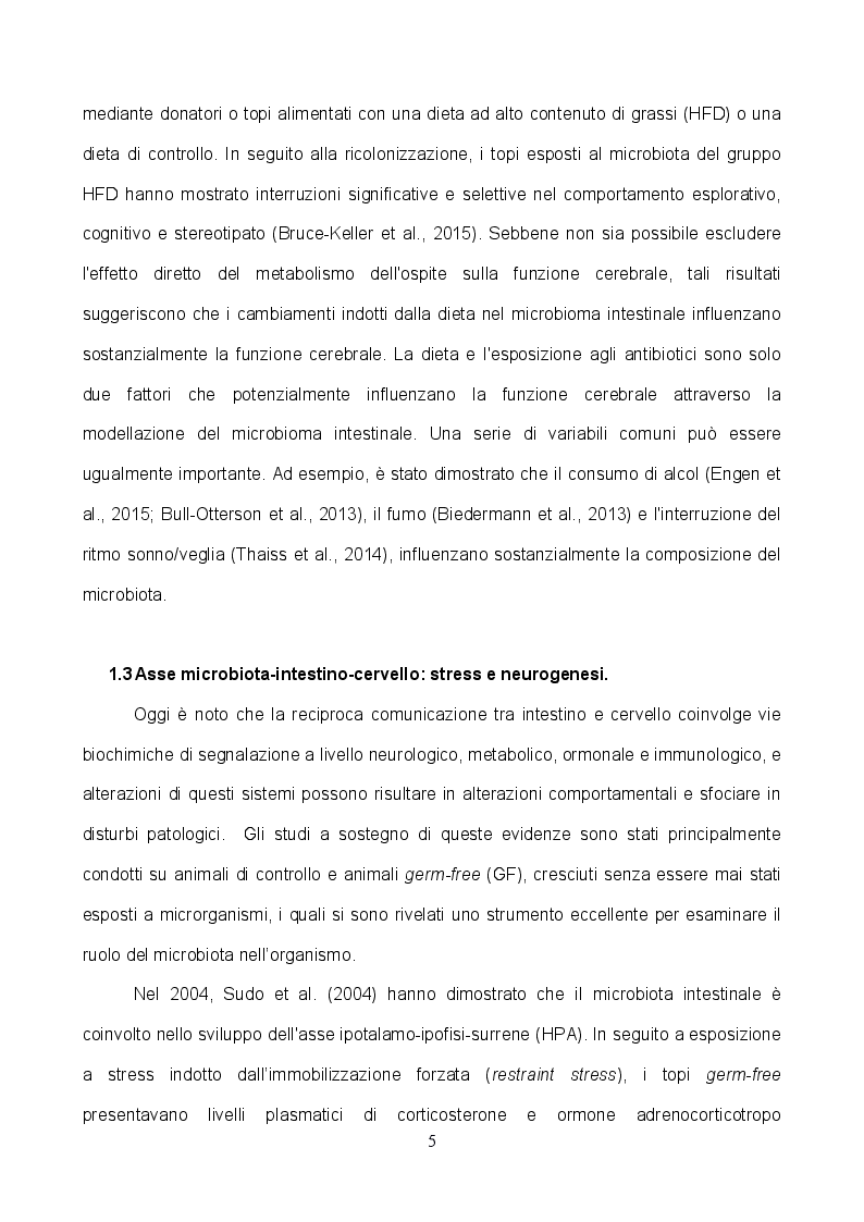 Anteprima della tesi: L'implementazione del microbiota con TRIBIF® aumenta la plasticità delle sinapsi glutammatergiche ippocampali e migliora le performance cognitive nel ratto, Pagina 3