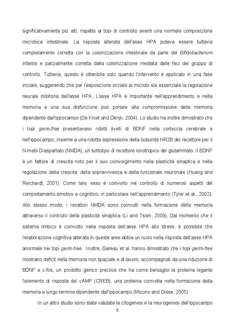 Anteprima della tesi: L'implementazione del microbiota con TRIBIF® aumenta la plasticità delle sinapsi glutammatergiche ippocampali e migliora le performance cognitive nel ratto, Pagina 4