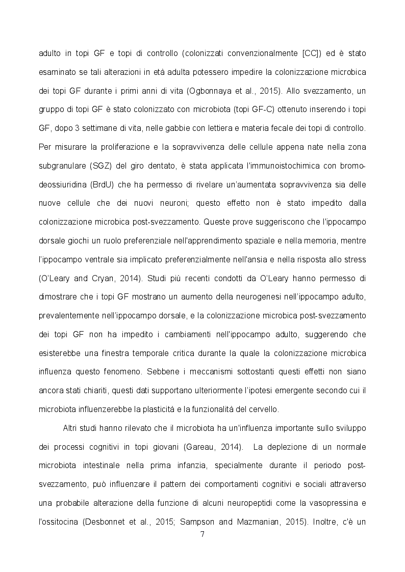 Anteprima della tesi: L'implementazione del microbiota con TRIBIF® aumenta la plasticità delle sinapsi glutammatergiche ippocampali e migliora le performance cognitive nel ratto, Pagina 5