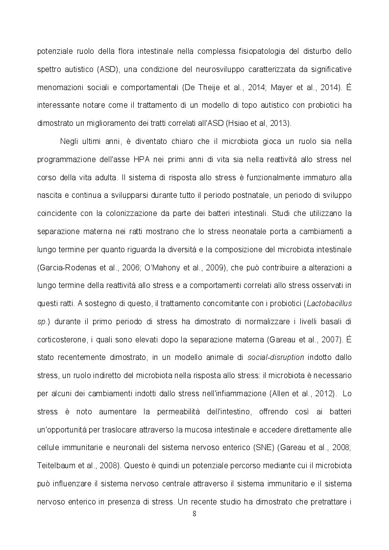 Anteprima della tesi: L'implementazione del microbiota con TRIBIF® aumenta la plasticità delle sinapsi glutammatergiche ippocampali e migliora le performance cognitive nel ratto, Pagina 6