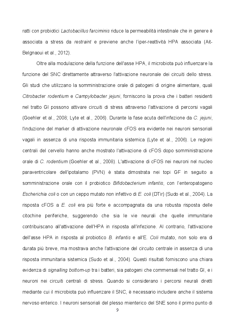 Anteprima della tesi: L'implementazione del microbiota con TRIBIF® aumenta la plasticità delle sinapsi glutammatergiche ippocampali e migliora le performance cognitive nel ratto, Pagina 7