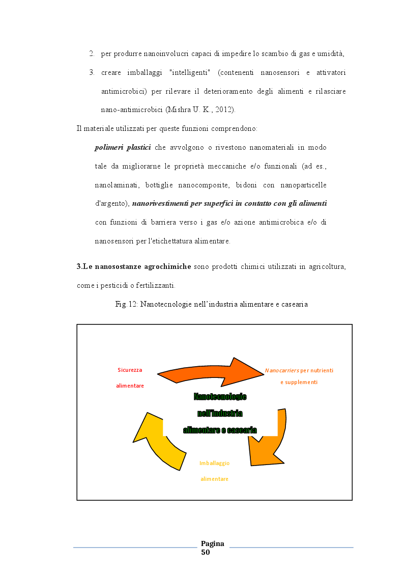 Anteprima della tesi: Quando la nanoscienza incontra gli alimenti, Pagina 3