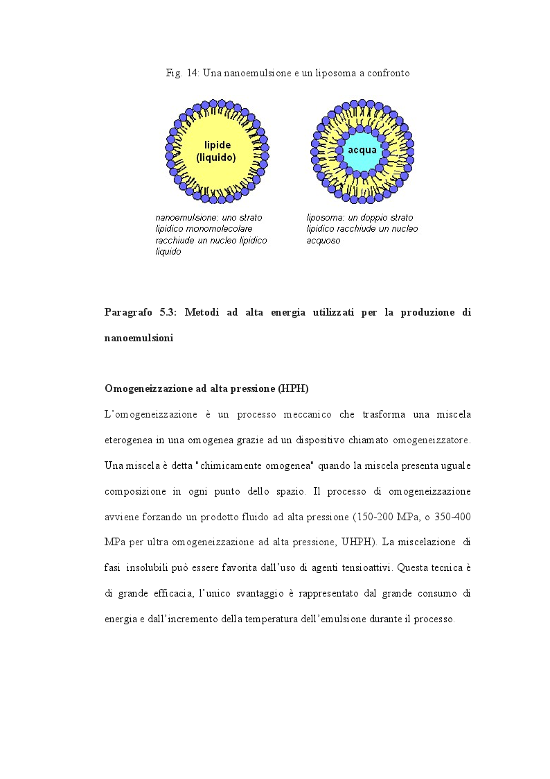 Anteprima della tesi: Quando la nanoscienza incontra gli alimenti, Pagina 9