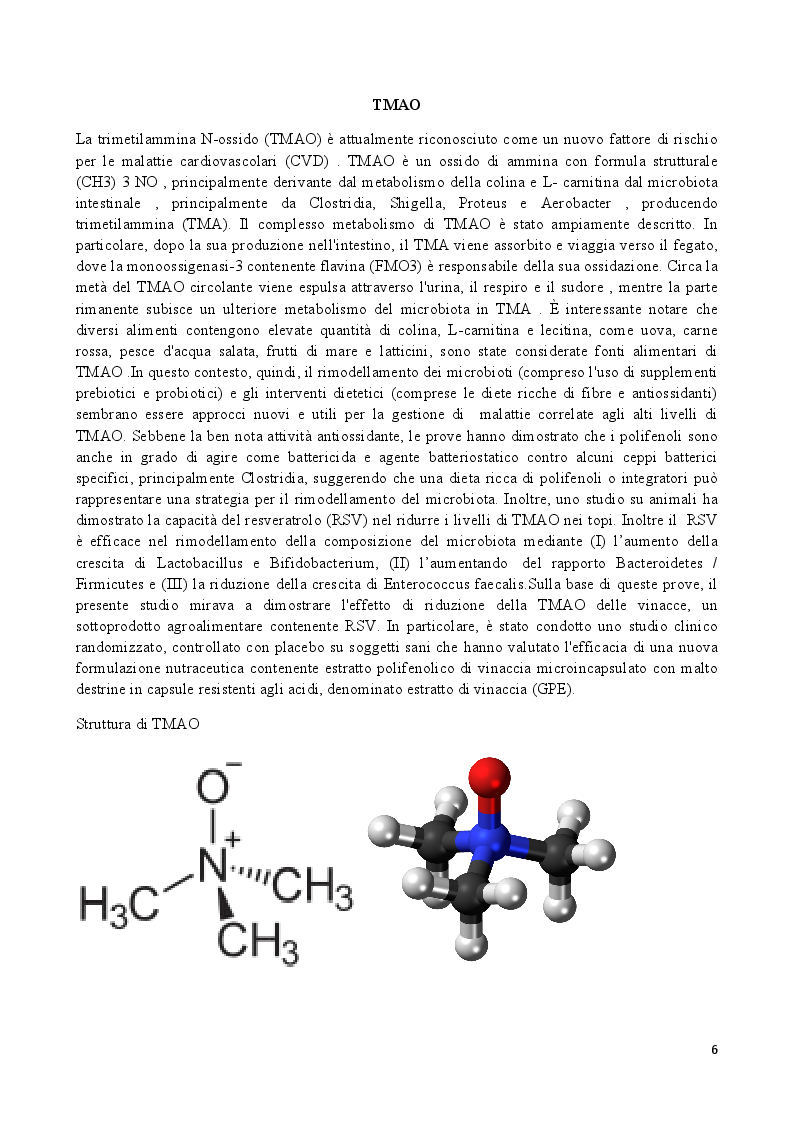 Anteprima della tesi: Effetti di un estratto polifenolico da vinacce di cultivar Aglianico sui livelli sierici di TMAO: risultati preliminari di uno studio cross-over randomizzato, controllato, contro placebo., Pagina 4