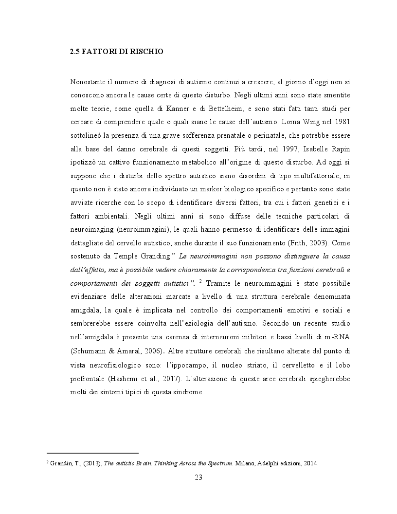 Anteprima della tesi: Il ruolo dell'attività fisica nel miglioramento delle abilità sociali nei soggetti autistici, Pagina 4