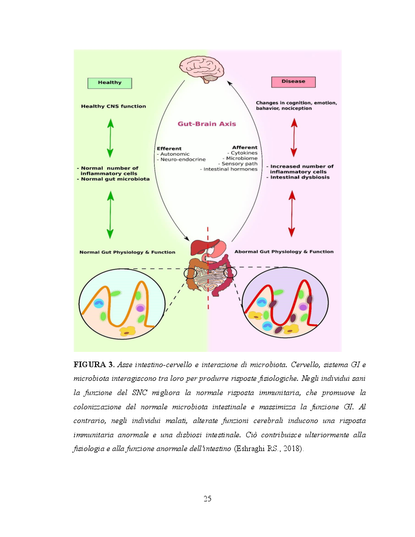 Anteprima della tesi: Il ruolo dell'attività fisica nel miglioramento delle abilità sociali nei soggetti autistici, Pagina 6