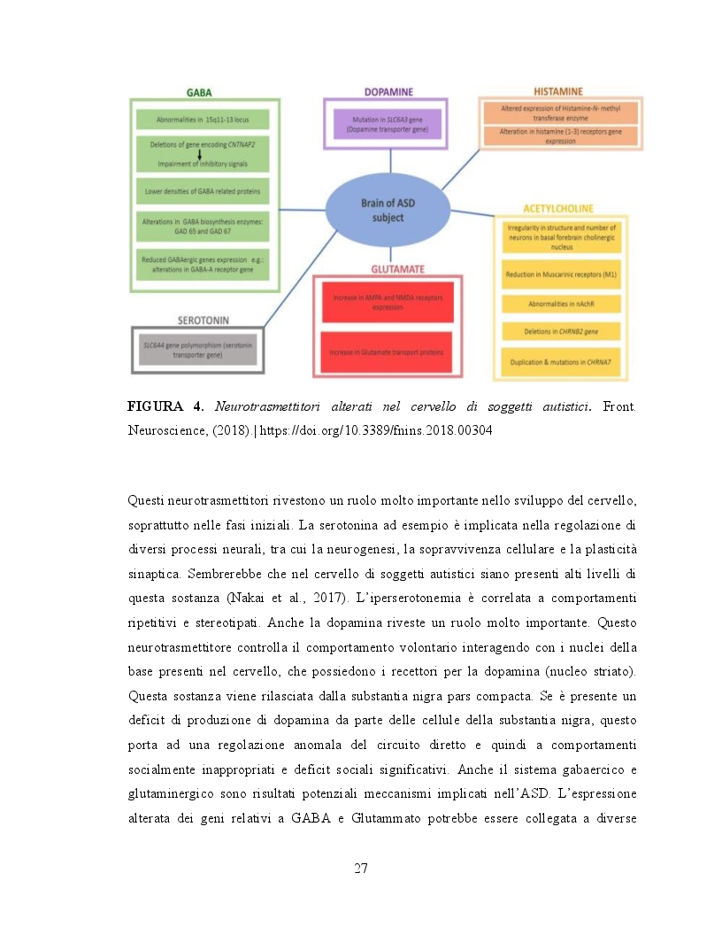 Anteprima della tesi: Il ruolo dell'attività fisica nel miglioramento delle abilità sociali nei soggetti autistici, Pagina 8