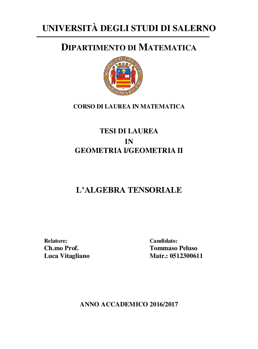Anteprima della tesi: L'algebra tensoriale, Pagina 1