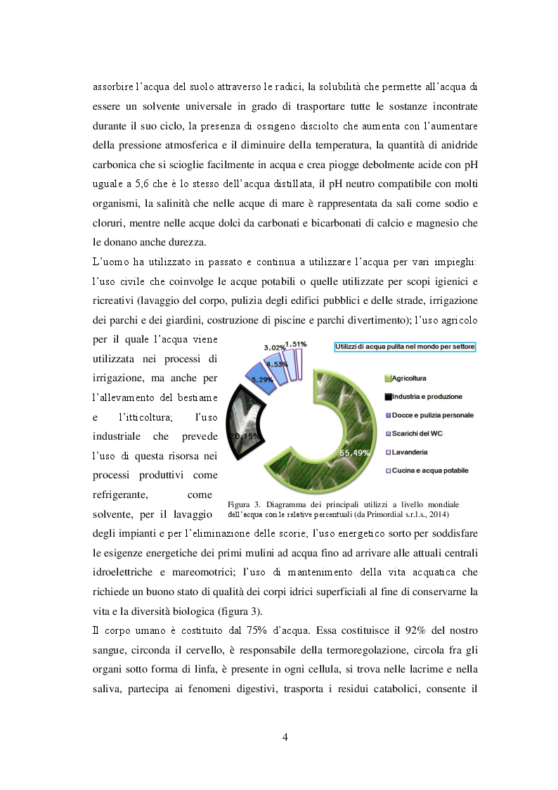 Anteprima della tesi: Sistemi di irrigazione in pieno campo: l'utilizzo efficiente e sostenibile della risorsa idrica per un miglioramento dei possibili scenari futuri, Pagina 5