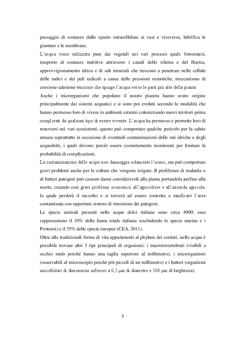 Anteprima della tesi: Sistemi di irrigazione in pieno campo: l'utilizzo efficiente e sostenibile della risorsa idrica per un miglioramento dei possibili scenari futuri, Pagina 6