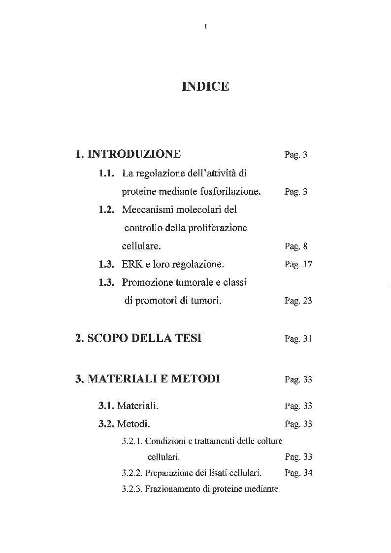 Indice della tesi: Effetto dei promotori di tumori su proteine cinasi attivate da mitogeni, Pagina 1