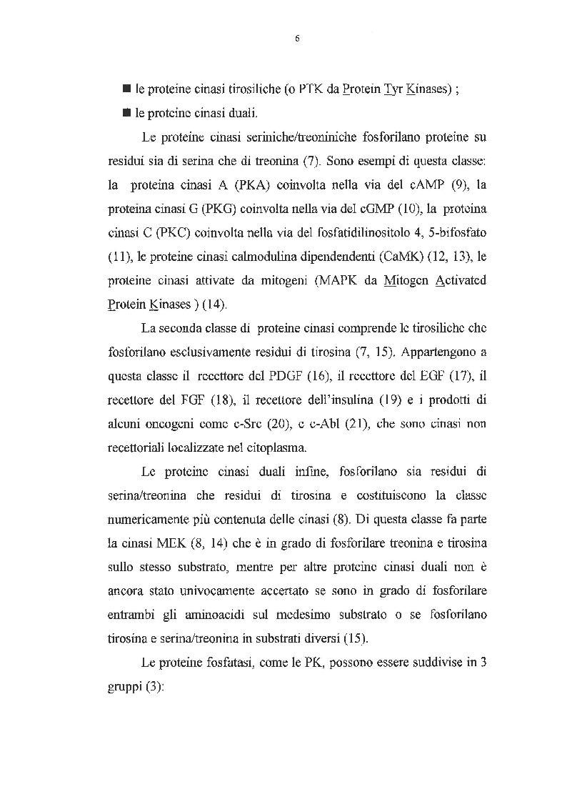 Anteprima della tesi: Effetto dei promotori di tumori su proteine cinasi attivate da mitogeni, Pagina 5