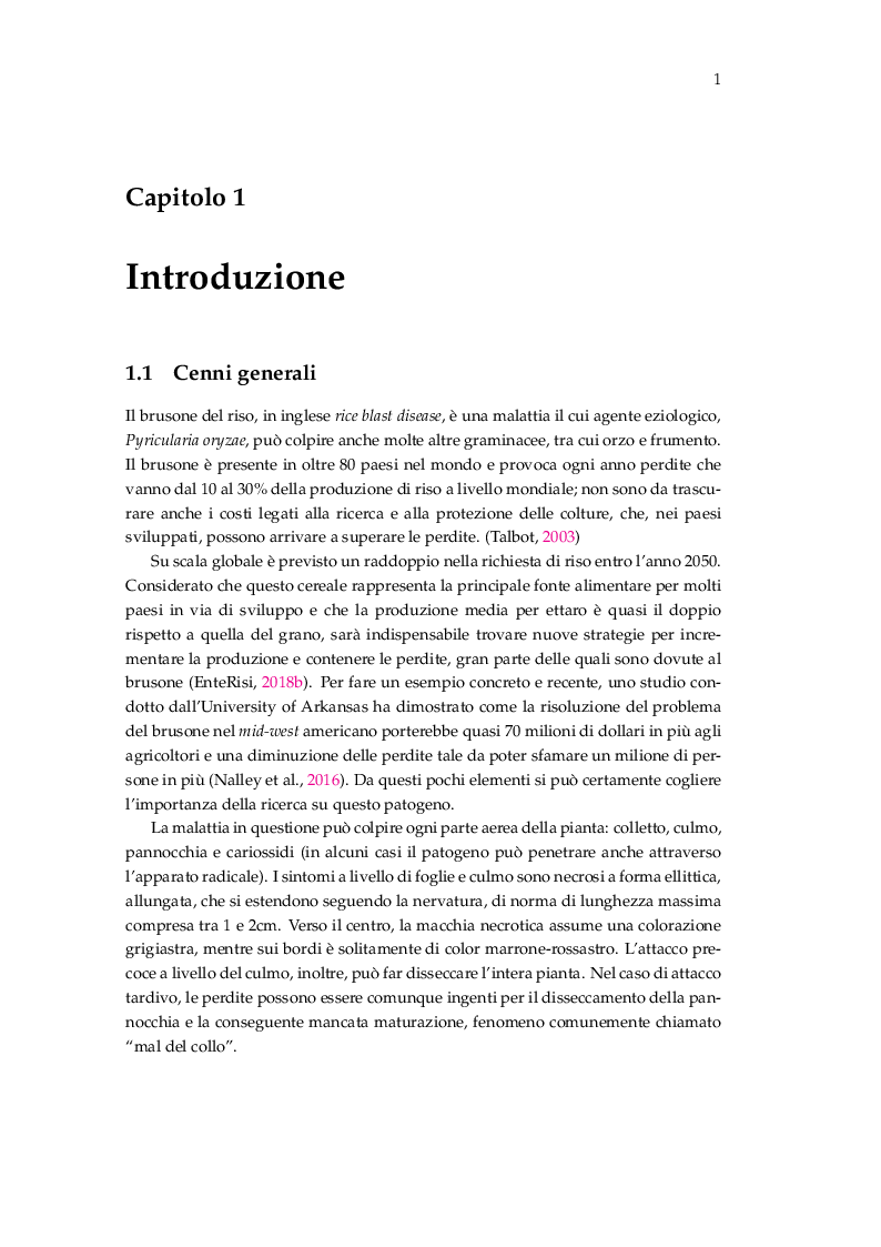 Estratto dalla tesi: Procedure di inoculazione di Pyricularia oryzae su riso