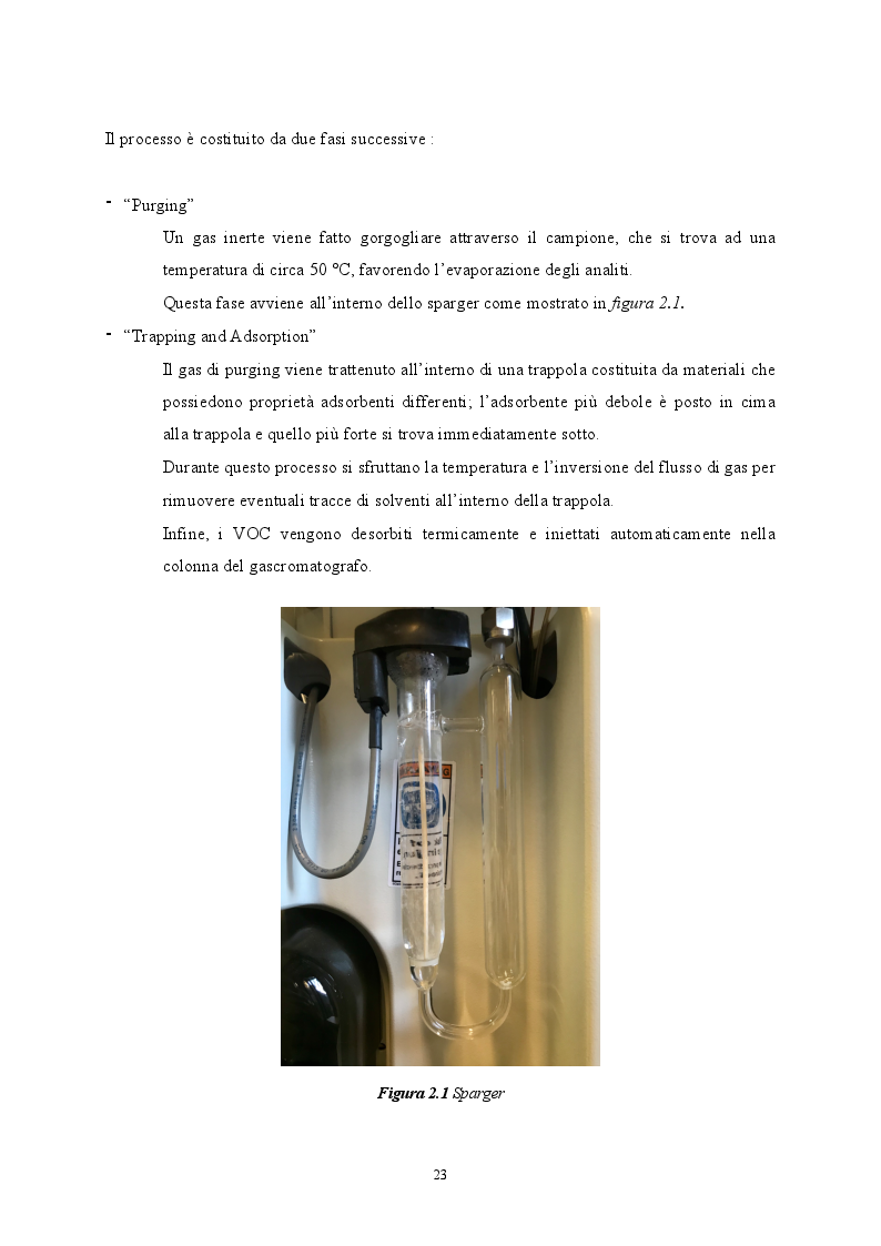 Anteprima della tesi: Sviluppo di metodiche analitiche mediante GCMS per la determinazione di parametri non tabellati del D.lgs. 152/06, Pagina 5