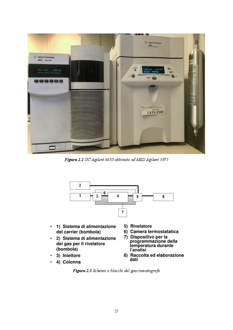 Anteprima della tesi: Sviluppo di metodiche analitiche mediante GCMS per la determinazione di parametri non tabellati del D.lgs. 152/06, Pagina 7