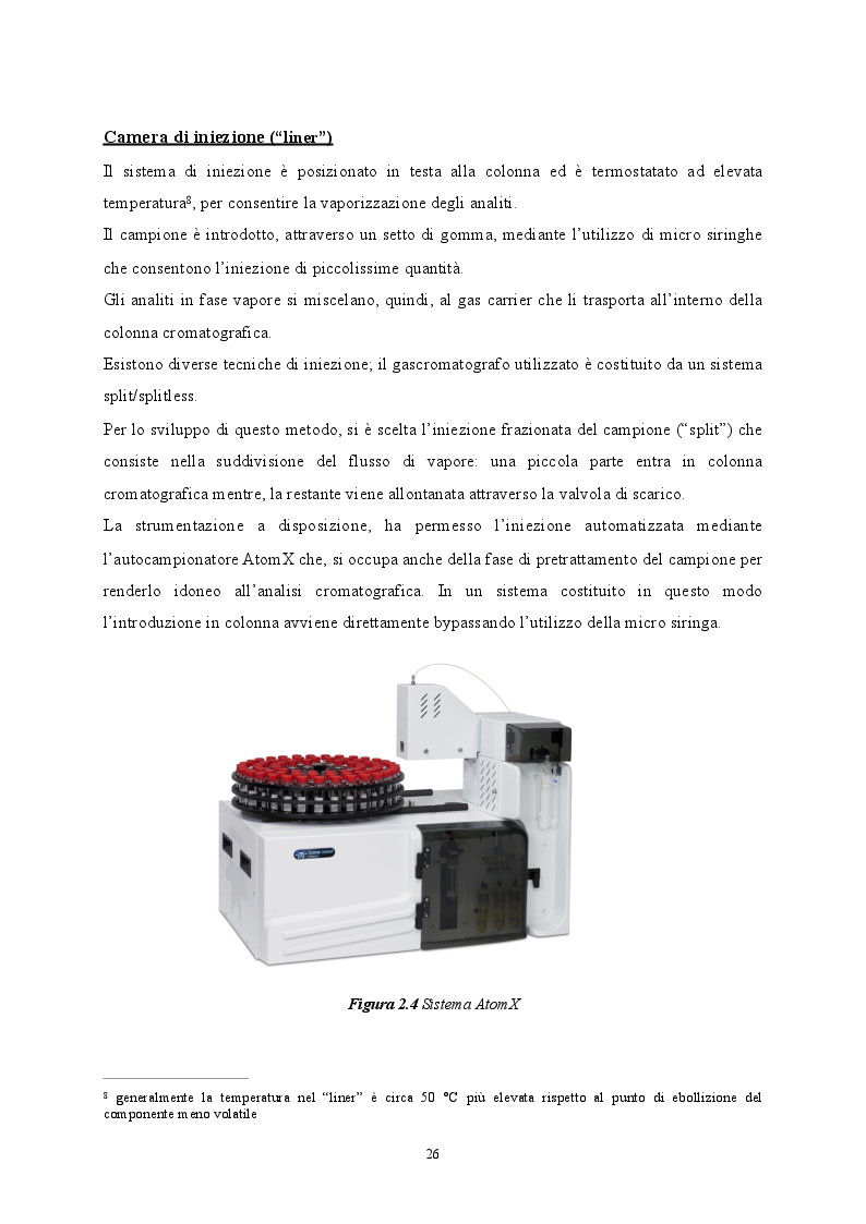 Anteprima della tesi: Sviluppo di metodiche analitiche mediante GCMS per la determinazione di parametri non tabellati del D.lgs. 152/06, Pagina 8