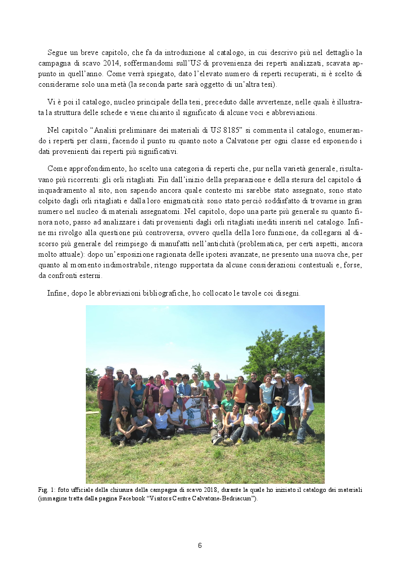 Anteprima della tesi: Analisi preliminare dei materiali del livello superficiale (US 8185) della campagna di scavo UniMI 2014 a Calvatone-Bedriacum, Pagina 3