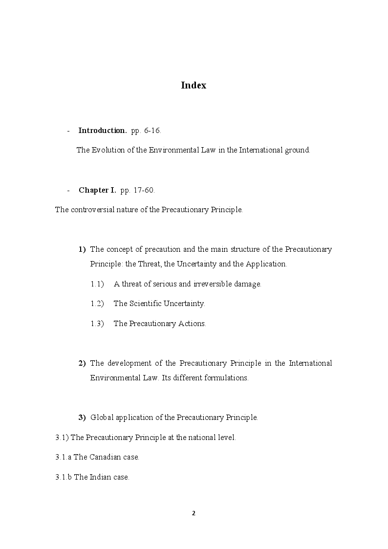 Indice della tesi: The development of the Precautionary Principle in International Customary Law, Pagina 1