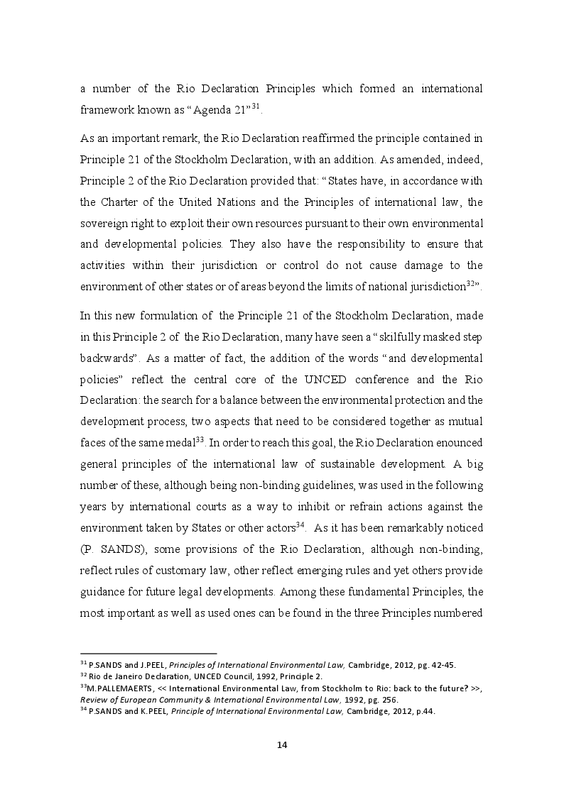 Anteprima della tesi: The development of the Precautionary Principle in International Customary Law, Pagina 10