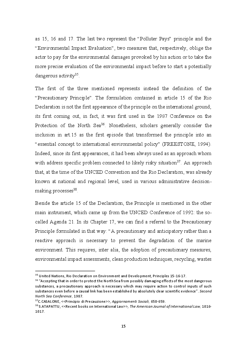 Anteprima della tesi: The development of the Precautionary Principle in International Customary Law, Pagina 11