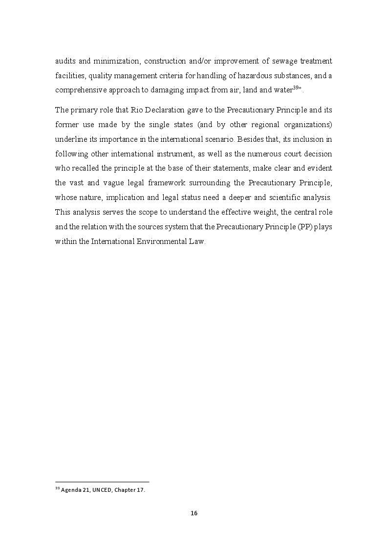 Anteprima della tesi: The development of the Precautionary Principle in International Customary Law, Pagina 12