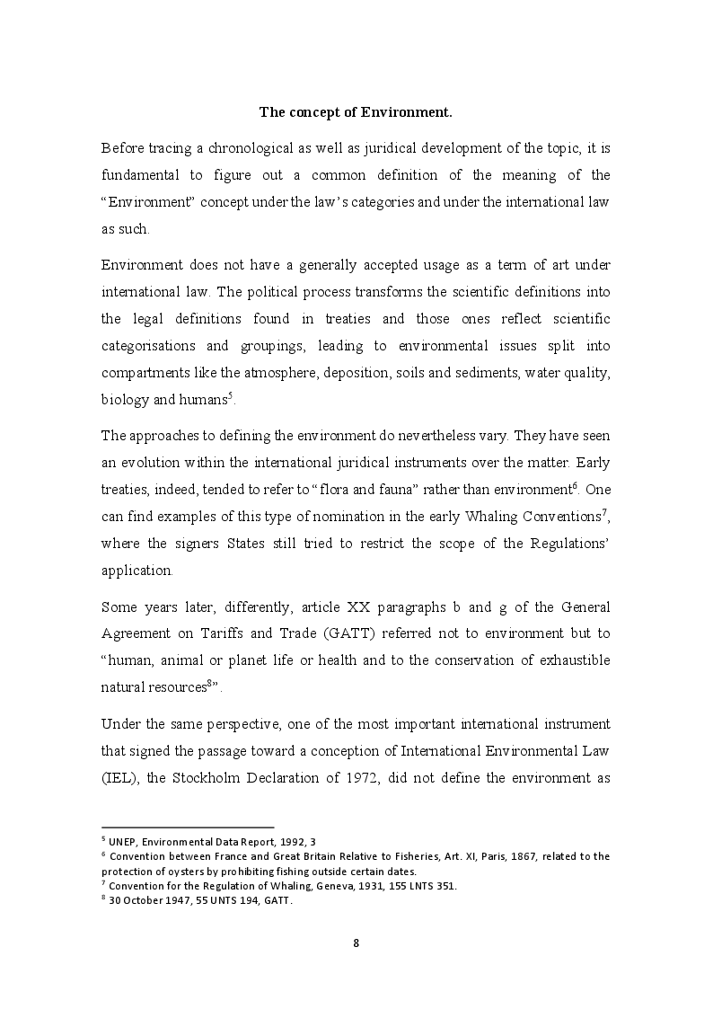 Anteprima della tesi: The development of the Precautionary Principle in International Customary Law, Pagina 4