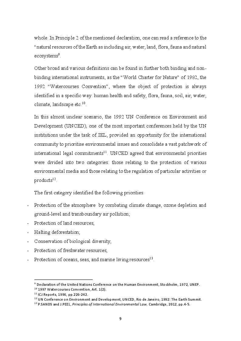 Anteprima della tesi: The development of the Precautionary Principle in International Customary Law, Pagina 5