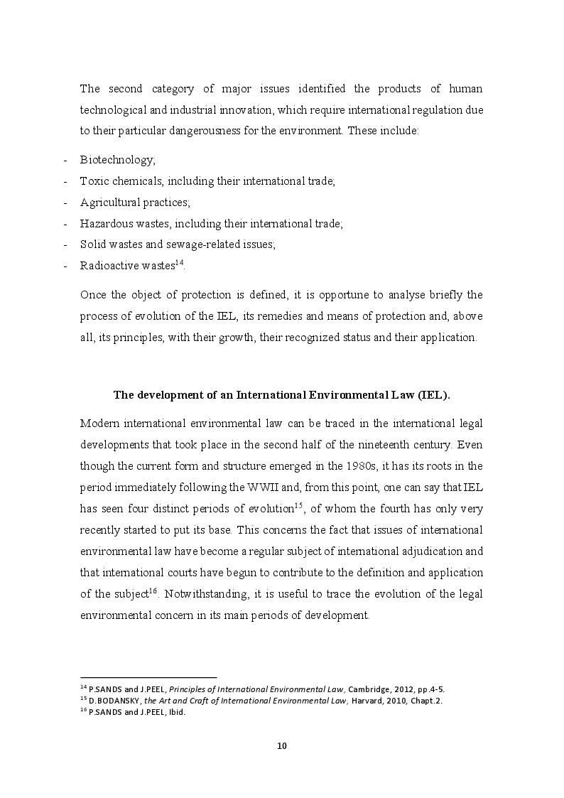 Anteprima della tesi: The development of the Precautionary Principle in International Customary Law, Pagina 6