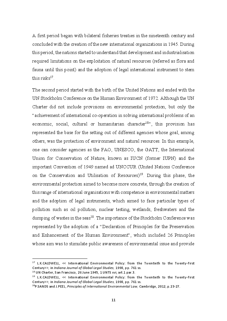Anteprima della tesi: The development of the Precautionary Principle in International Customary Law, Pagina 7