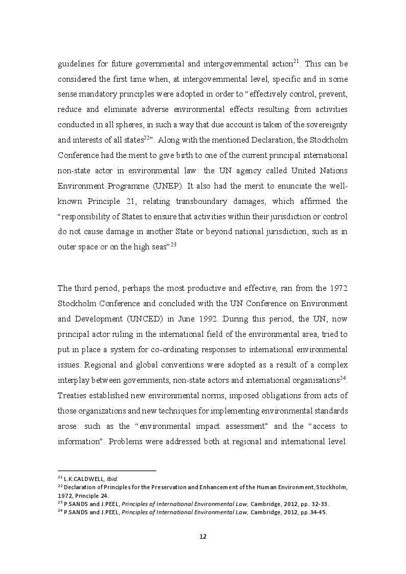 Anteprima della tesi: The development of the Precautionary Principle in International Customary Law, Pagina 8