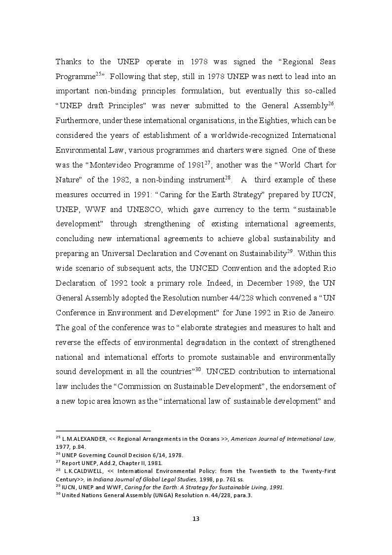Anteprima della tesi: The development of the Precautionary Principle in International Customary Law, Pagina 9