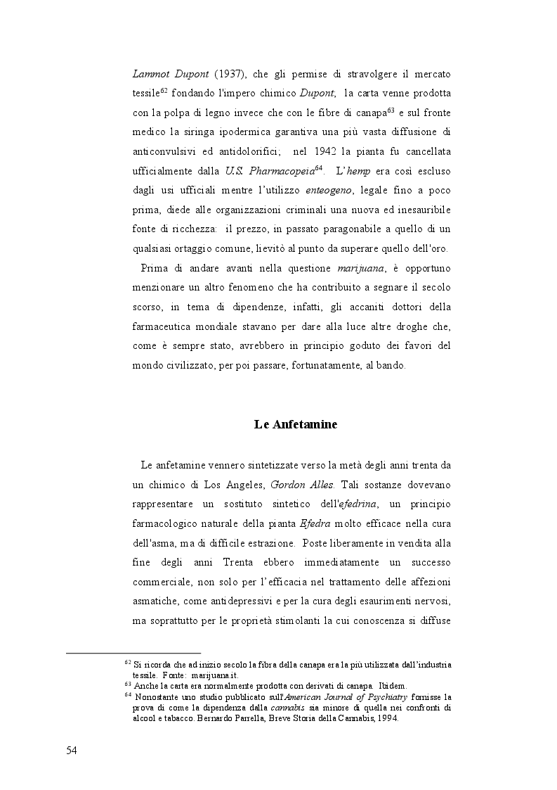 Anteprima della tesi: La mobilità psichedelica nell'Unione Europea. Origini e sviluppo del turismo per droga, Pagina 6