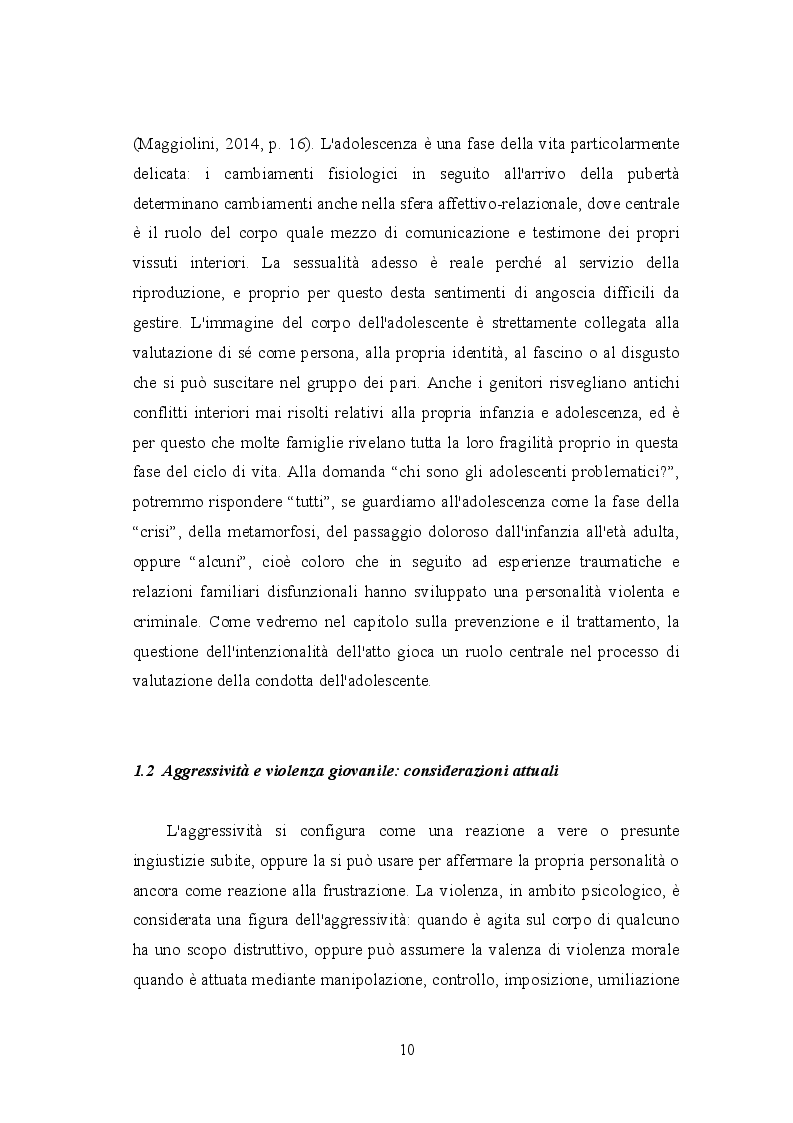 Anteprima della tesi: Mors tua vita mea: aggressività e violenza giovanile tra le mura domestiche. Dall'inquietudine all'omicidio, Pagina 5