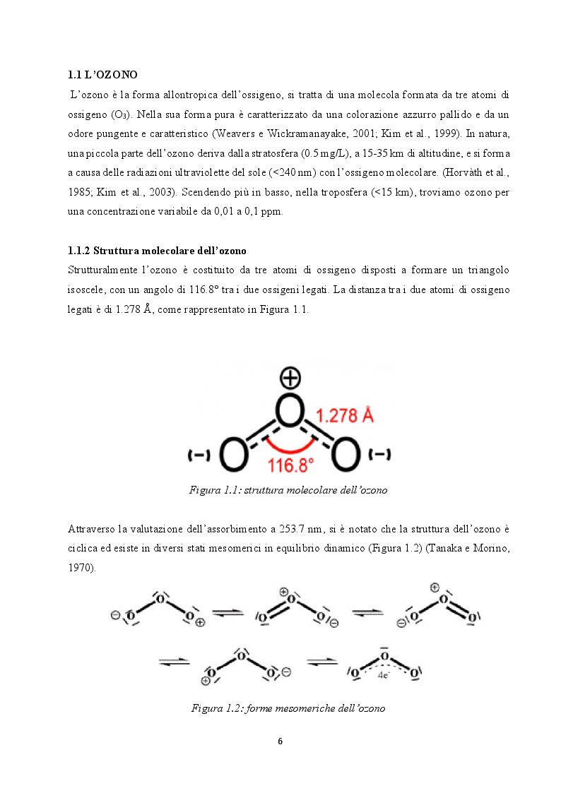 Anteprima della tesi: Utilizzo dell'ozono per il trattamento di alimenti conservati in frigorifero domestico, Pagina 4