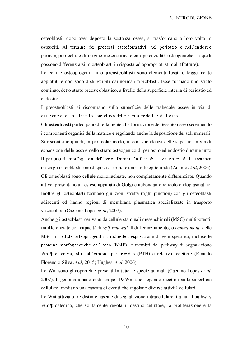 Anteprima della tesi: Effetti della microgravità sugli osteoblasti: profilo proteomico e metabolomico, Pagina 7