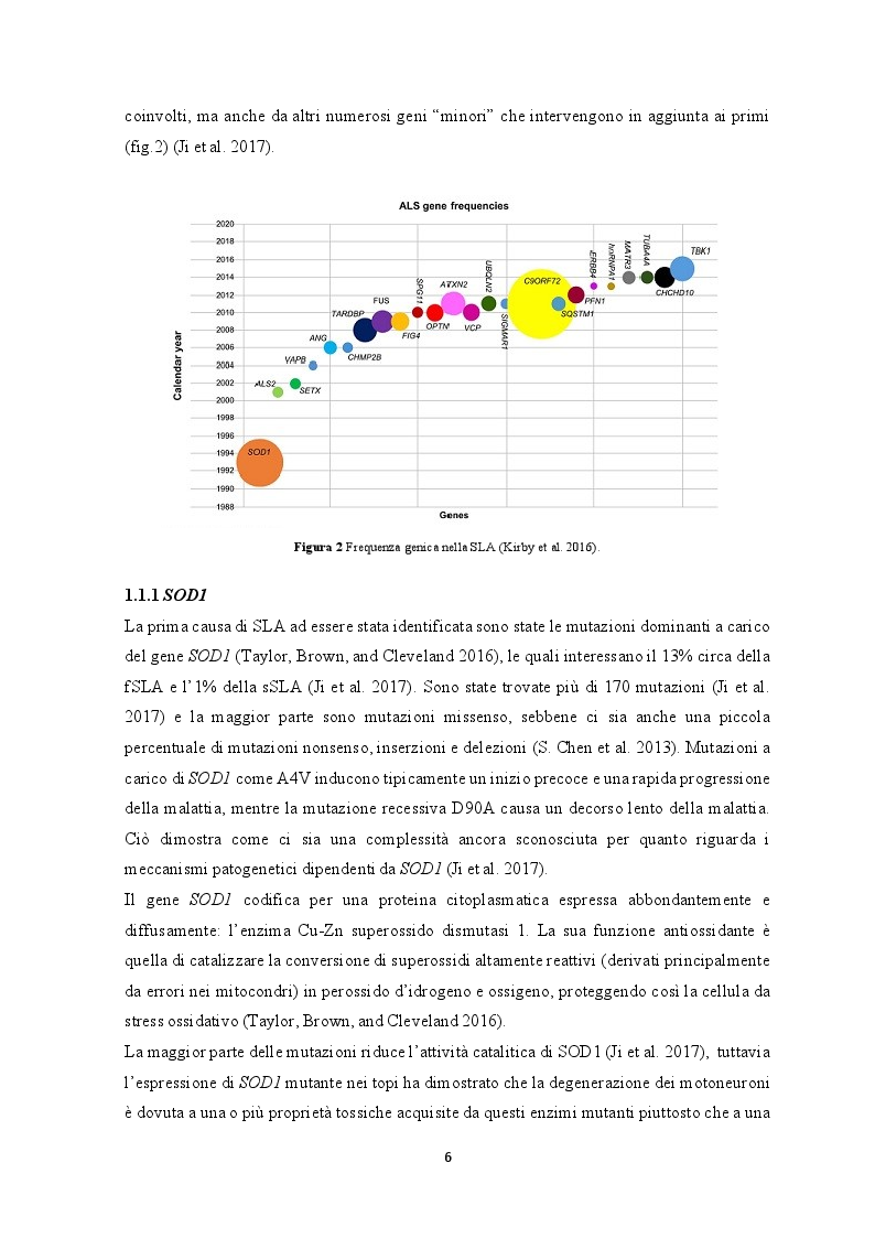 Anteprima della tesi: Le cellule staminali: una possibilità terapeutica per la sclerosi laterale amiotrofica, Pagina 4